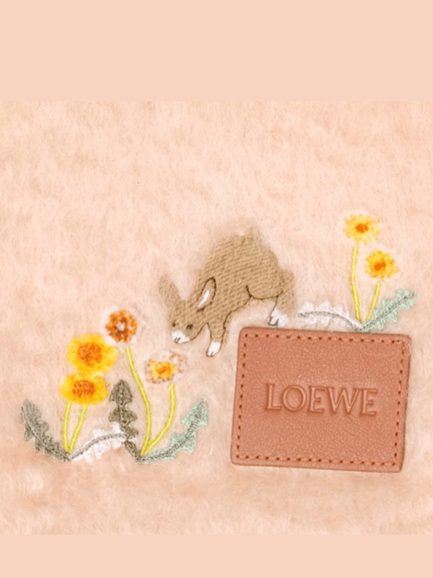 Loewe Bunny Scarf in Light Peach