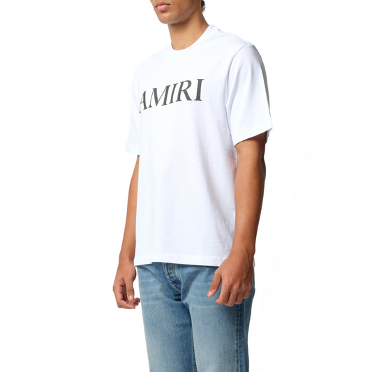 Amiri Core Logo T-Shirt in White/Black