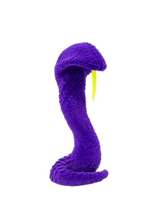 Brad Gunn The Dead and Delicate in Purple