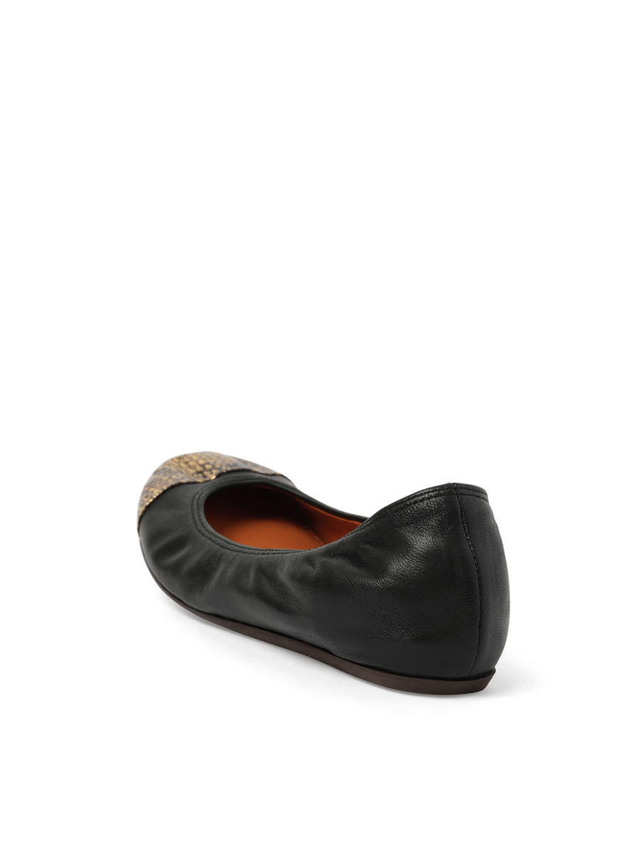 Captoe Ballerina in Black Back View | LANVIN
