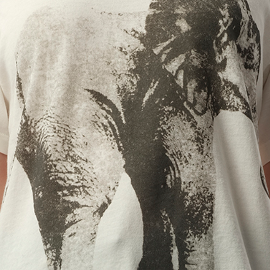 Elephant Printed T-Shirt in White