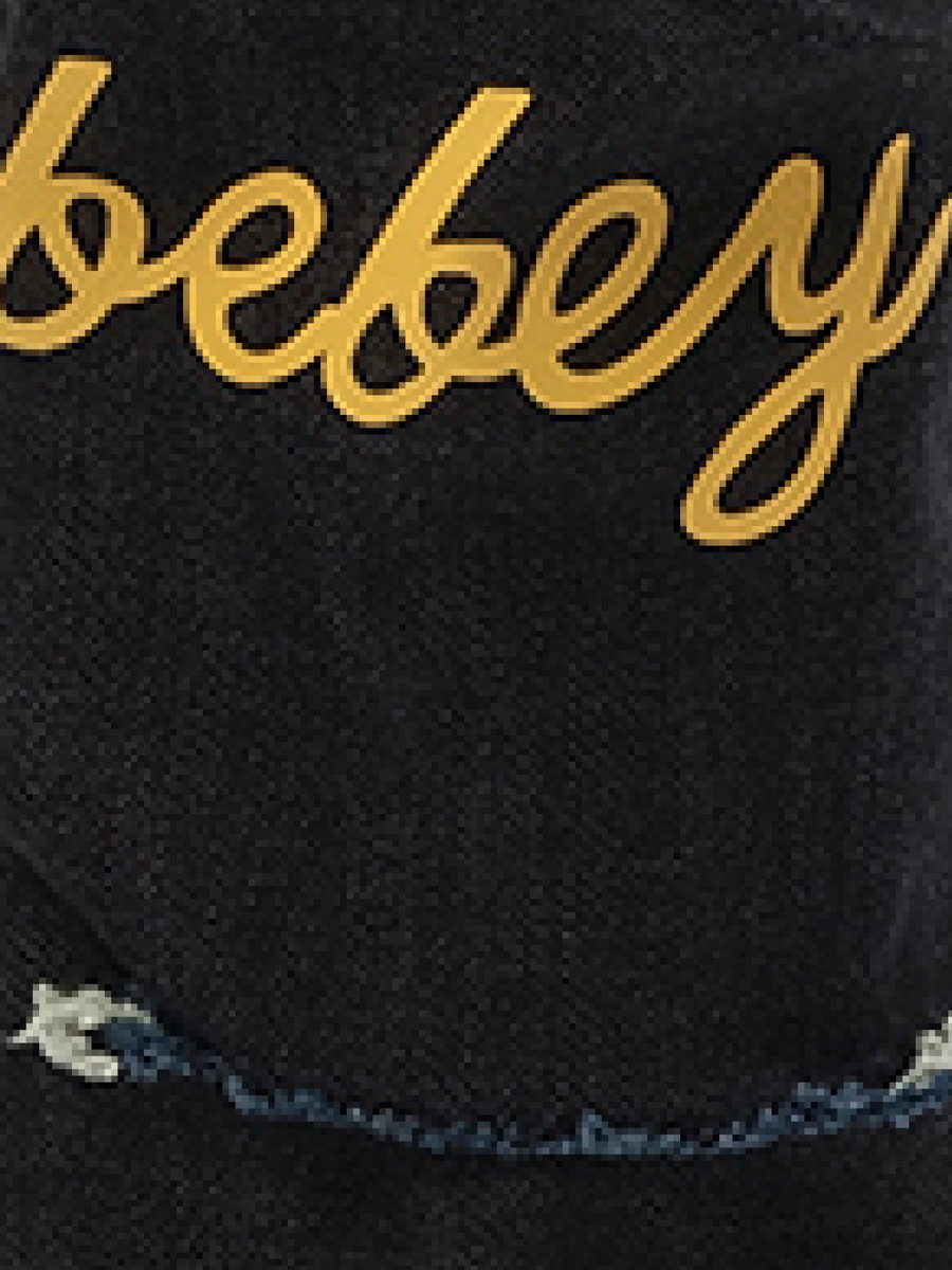 THL Bebey Arrow Selvedge Jeans in Blue