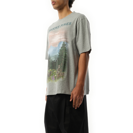 "Brooks Pines" Loose T-Shirt in Grey Melange