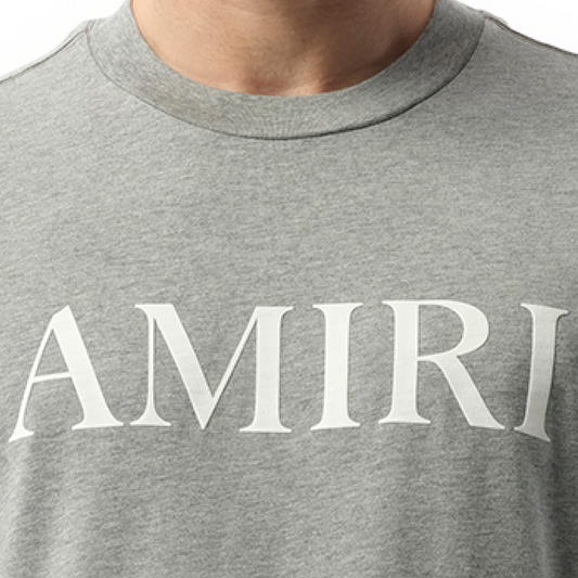 Amiri Core Logo T-Shirt in Grey