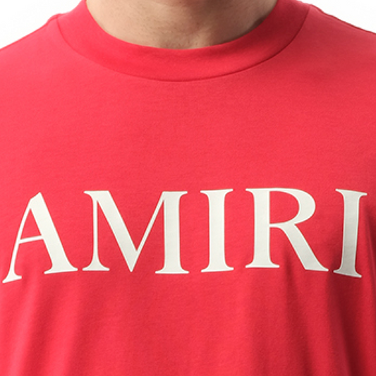 Amiri Core Logo T-Shirt in Red