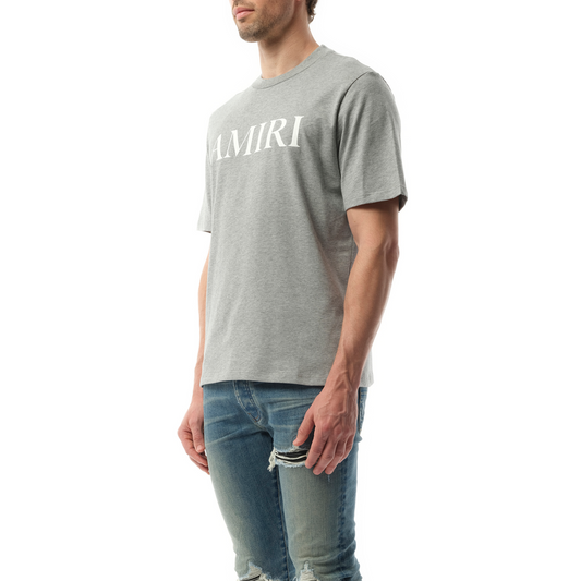 Amiri Core Logo T-Shirt in Grey