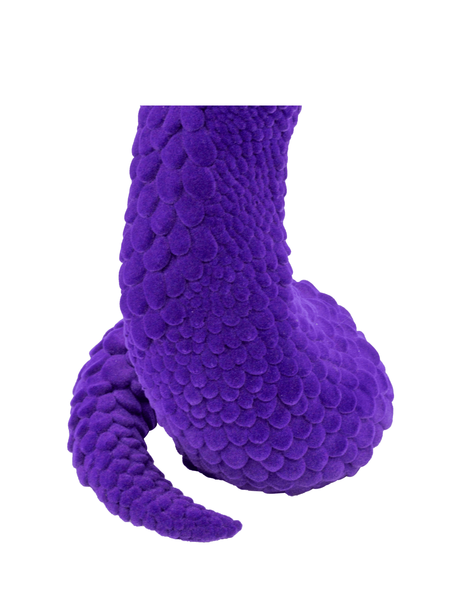 Brad Gunn The Dead and Delicate in Purple