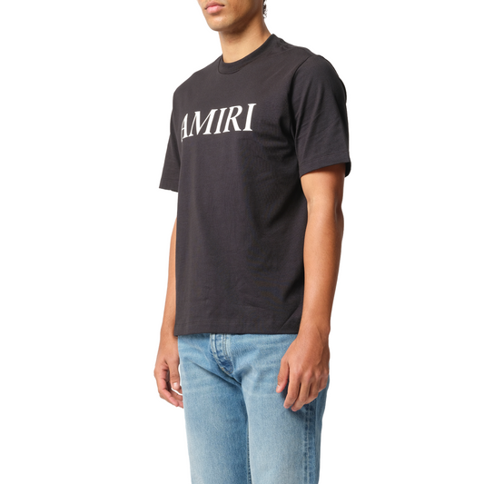 Amiri Core Logo T-Shirt in Black/White