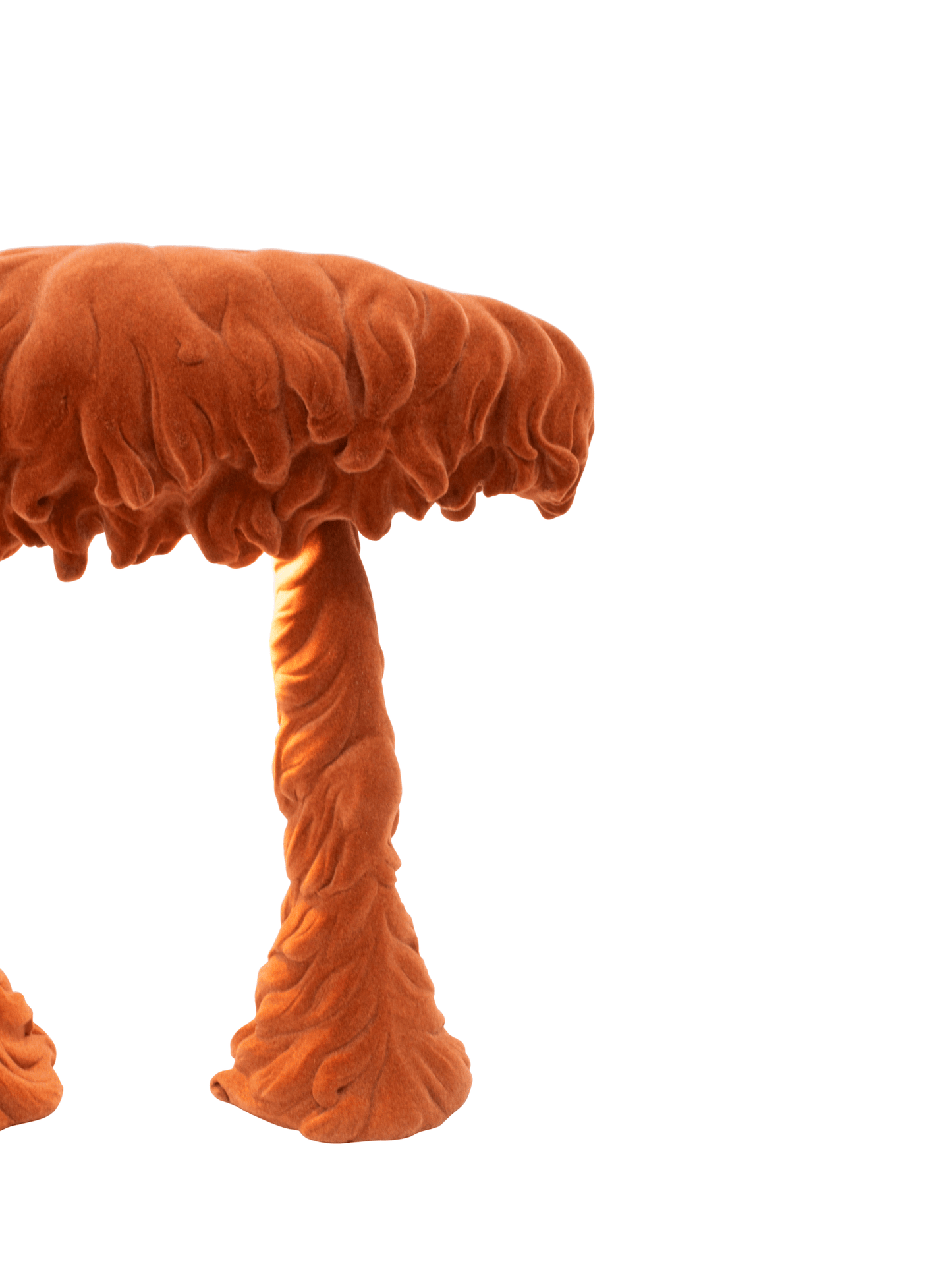 Brad Gunn Swampstand in Orange