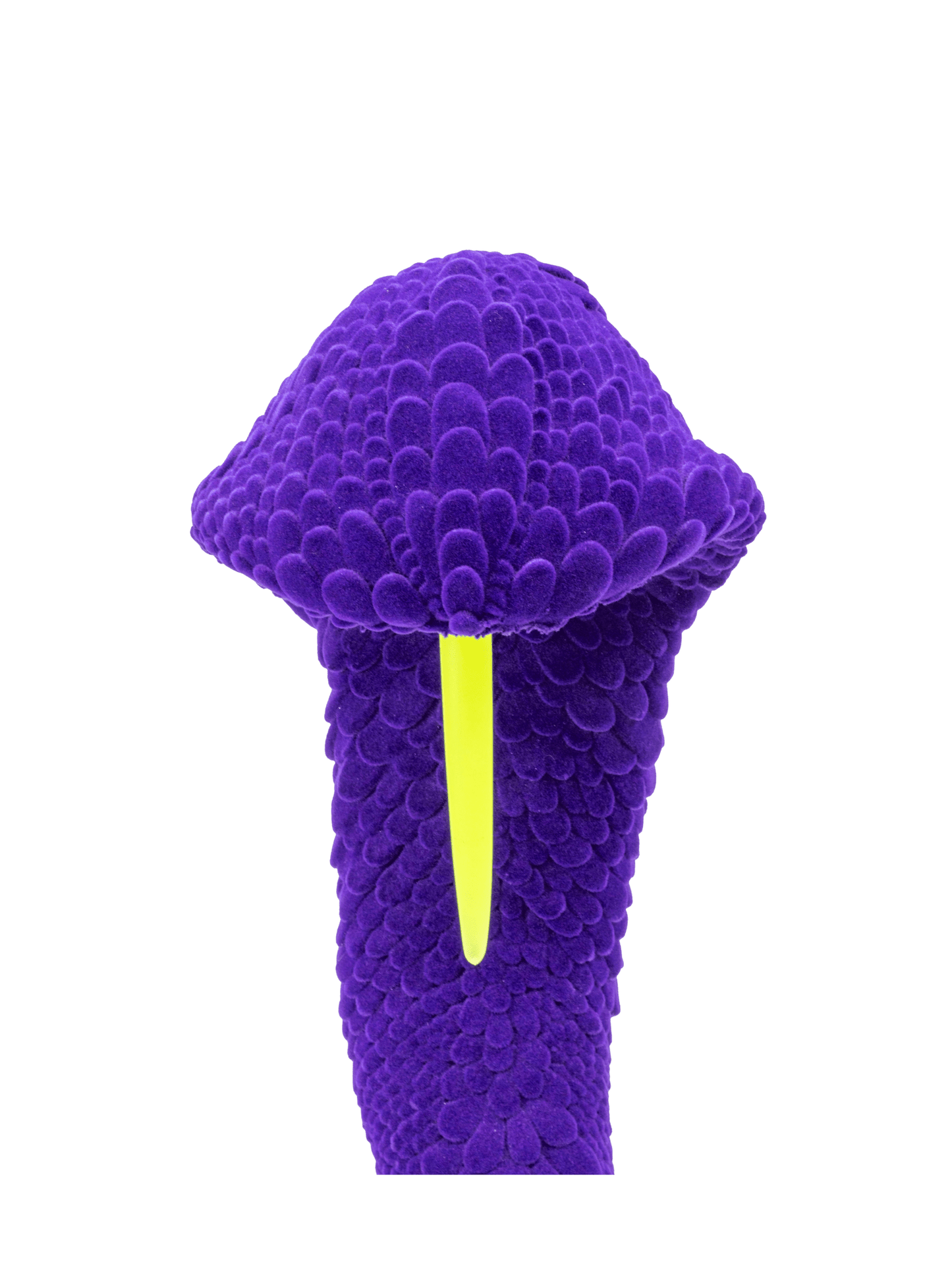 Brad Gunn The Dead and Delicate in Purple