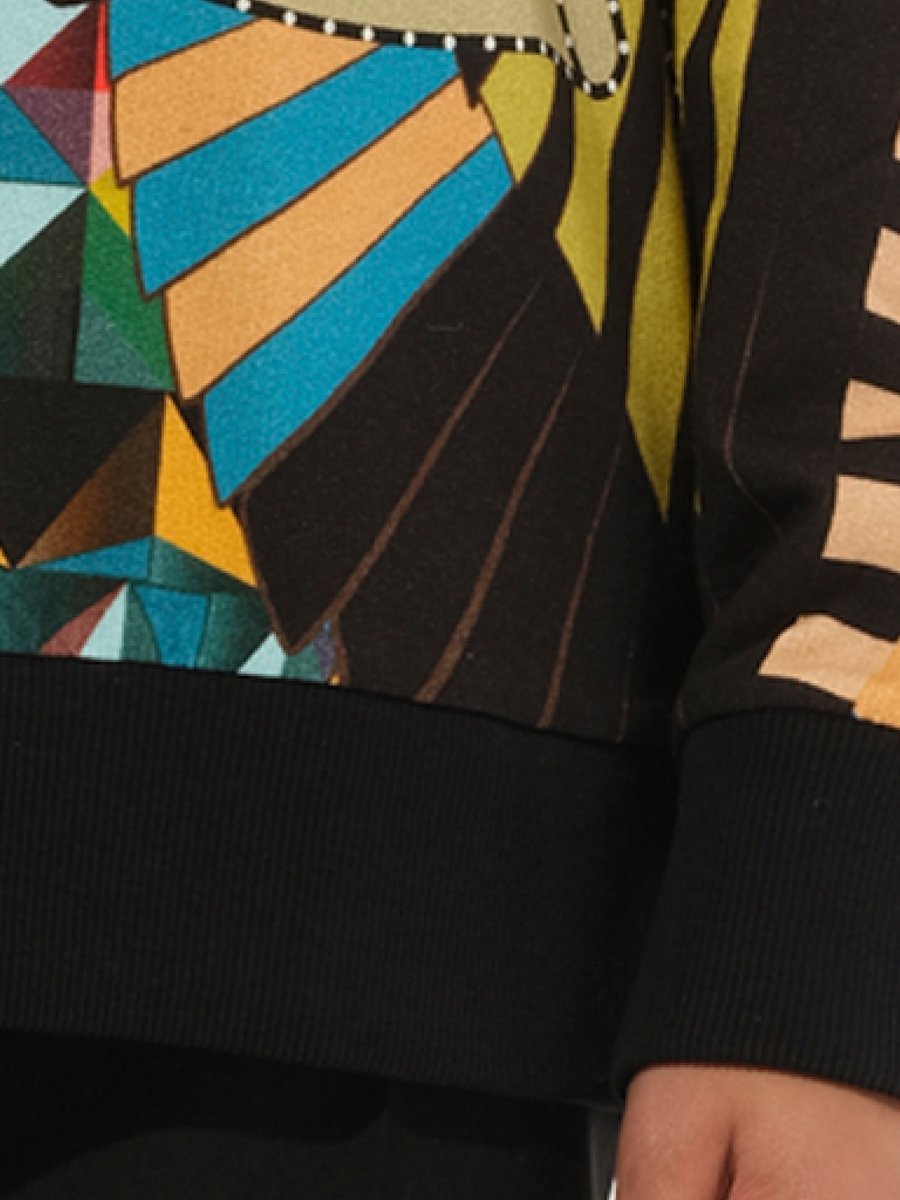 Sweatshirt in Multicolor