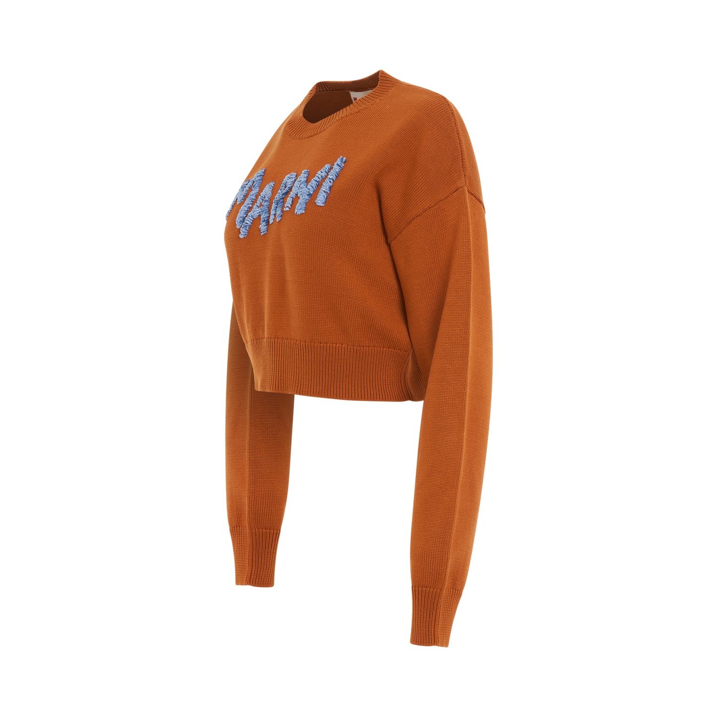 Logo Cropped Roundneck Sweater in Apricot