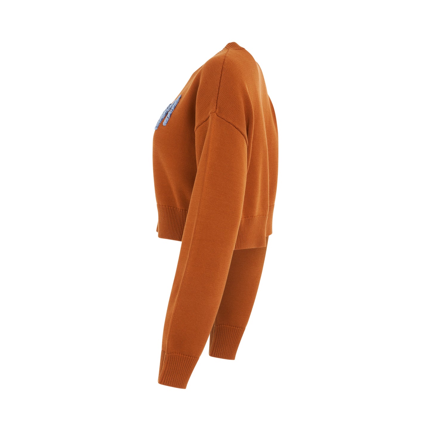 Logo Cropped Roundneck Sweater in Apricot