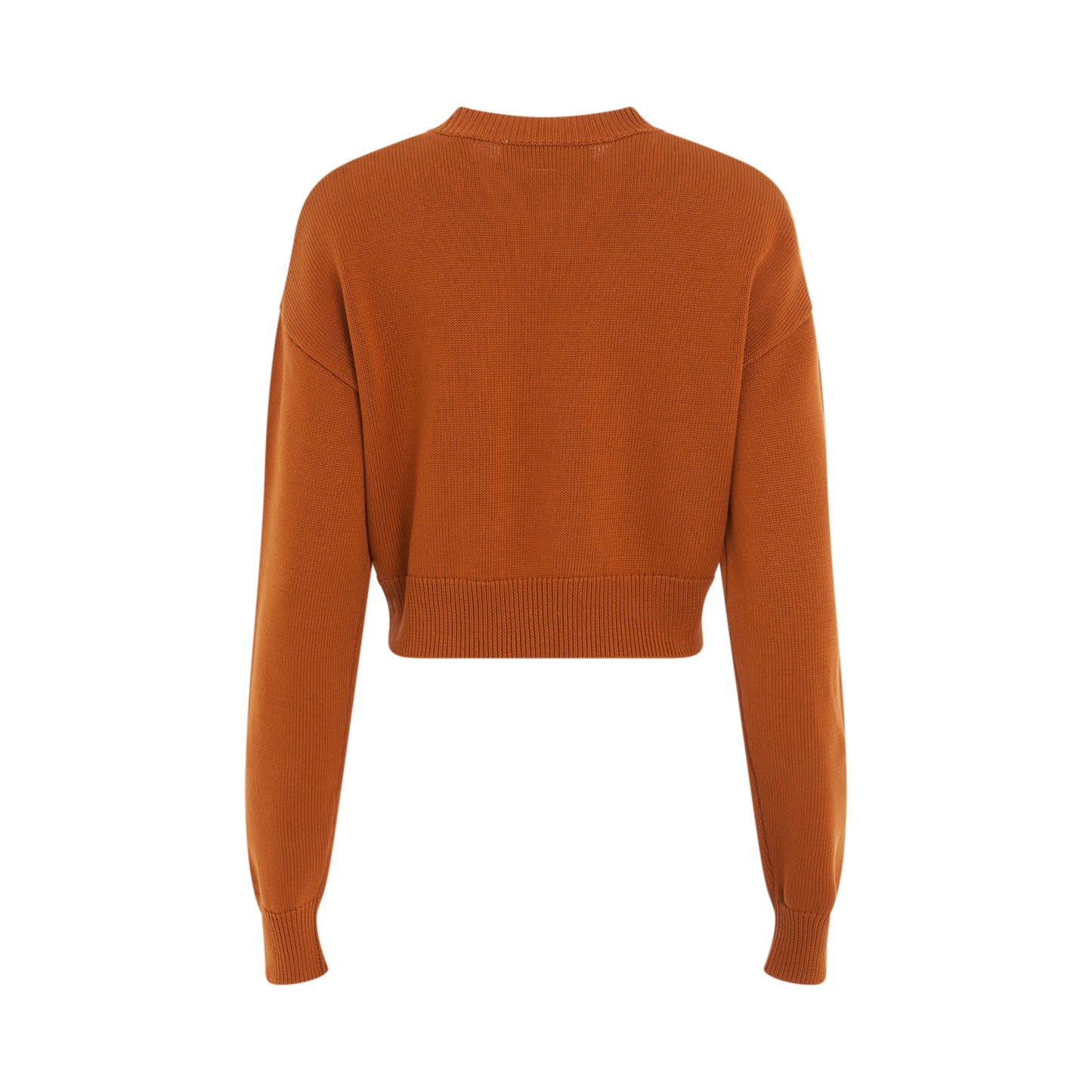 Logo Cropped Roundneck Sweater in Apricot