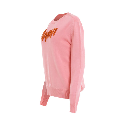 Embroidered Contrast Logo Sweater in Peony