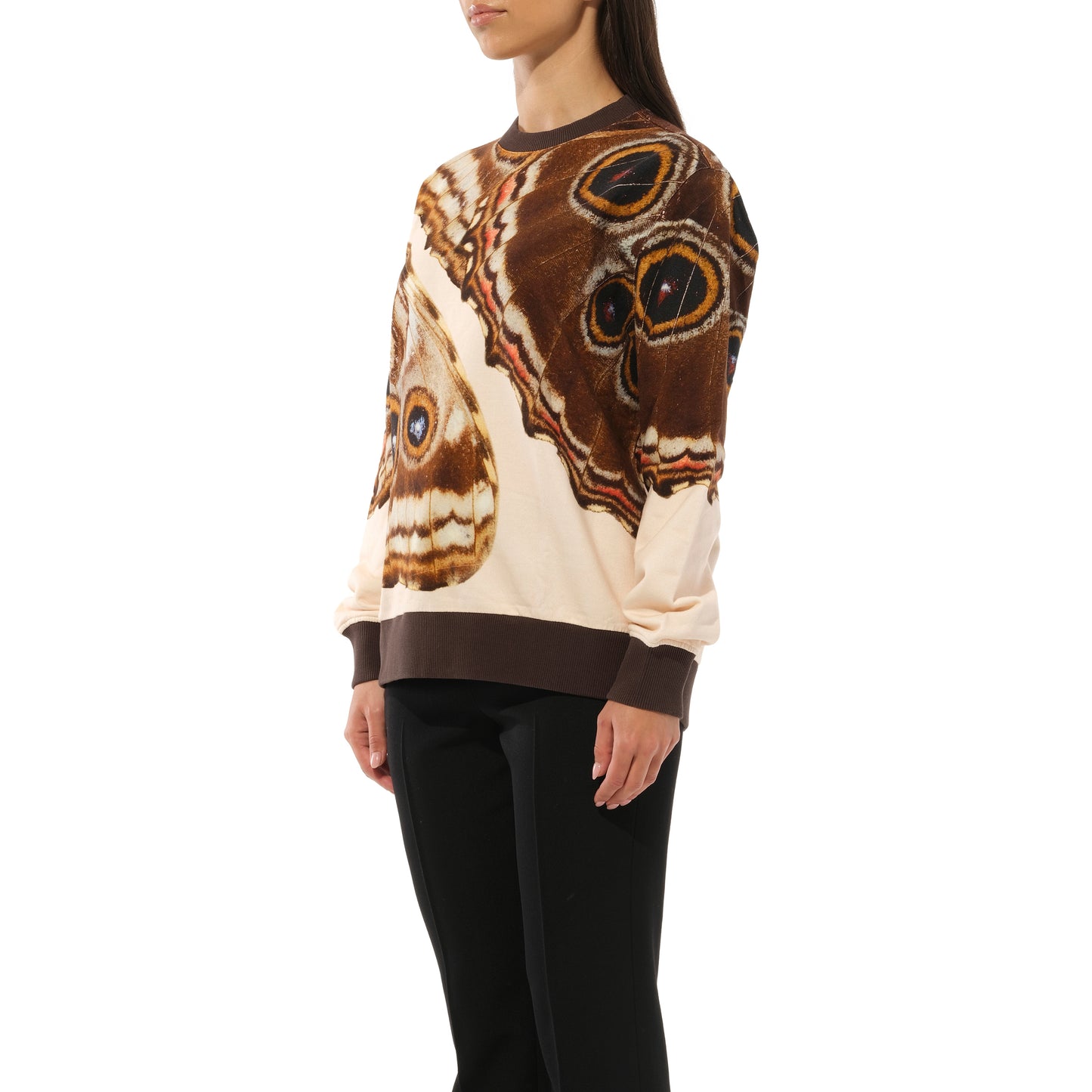 Podium Sweatshirt in Multicolor