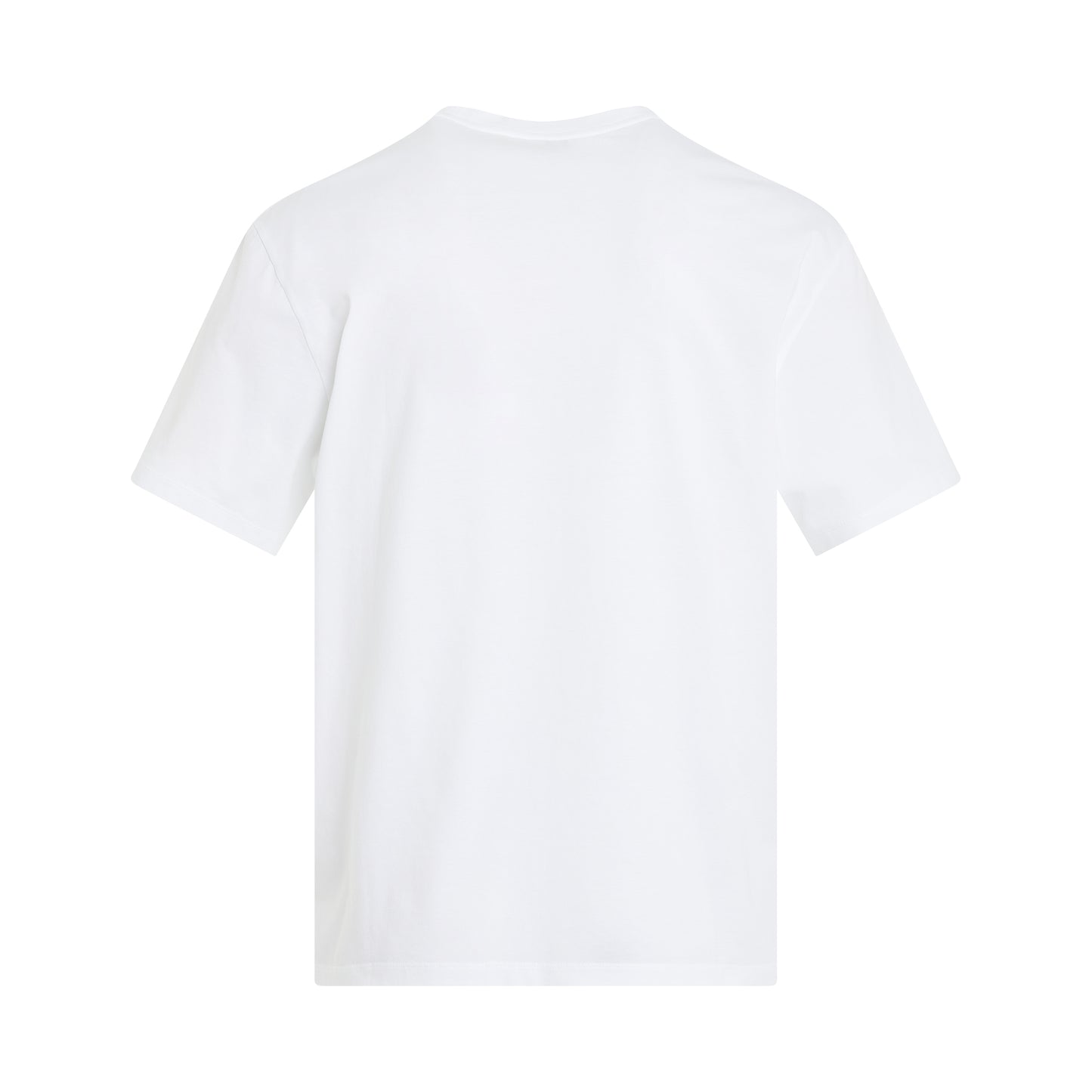Embroidered Blurred Logo T-Shirt in White/Multicolour