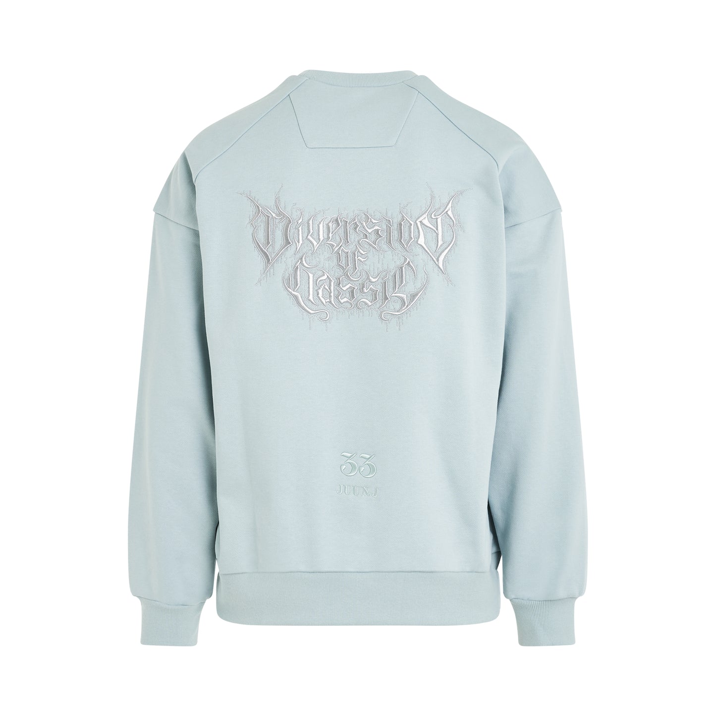 Loose Fit Graphic Embroidered Sweatshirt in Sky Blue