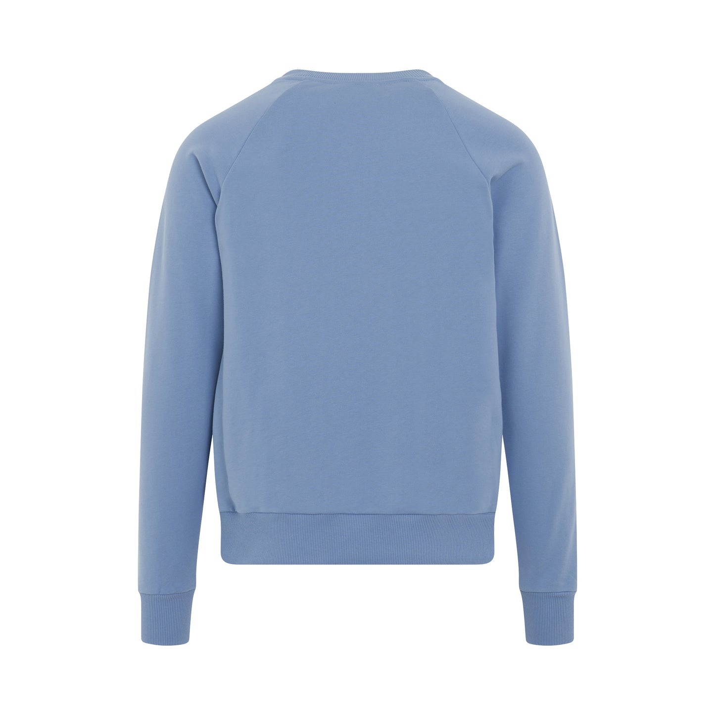 Classic Flock Logo Sweatshirt in Light Blue