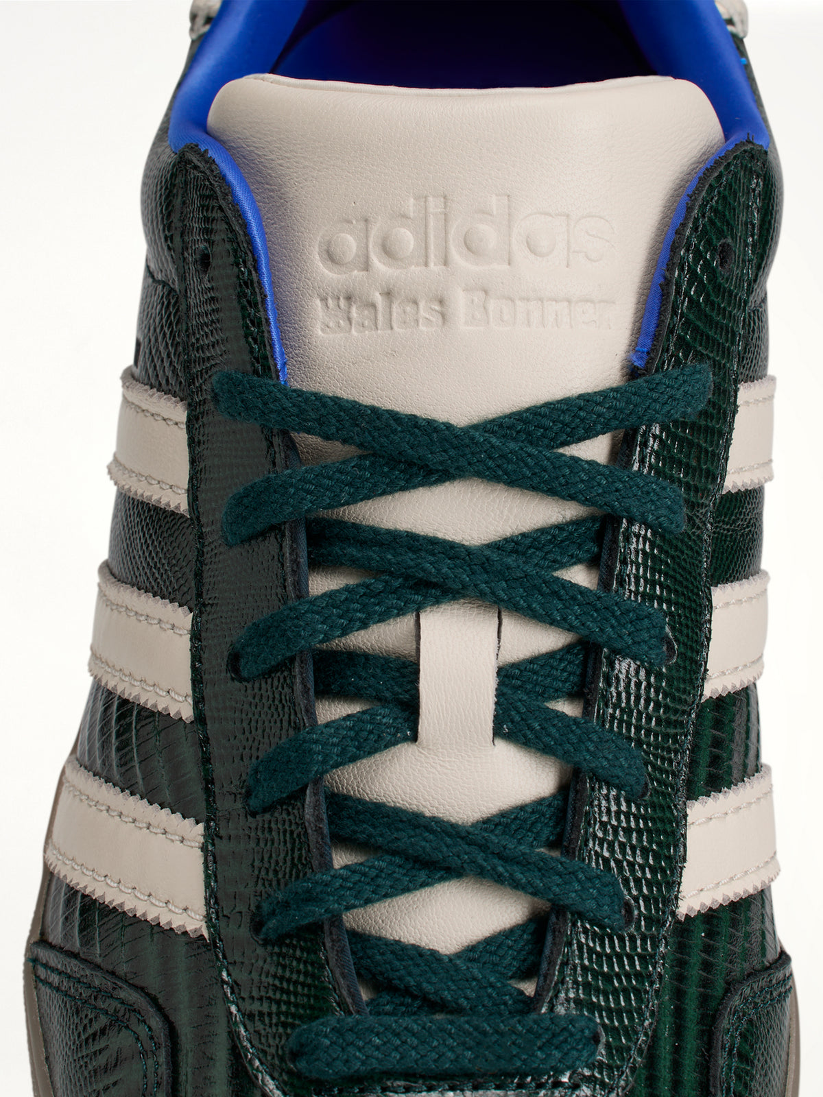 Adidas x WB Gazelle Croc in Crystal Sky
