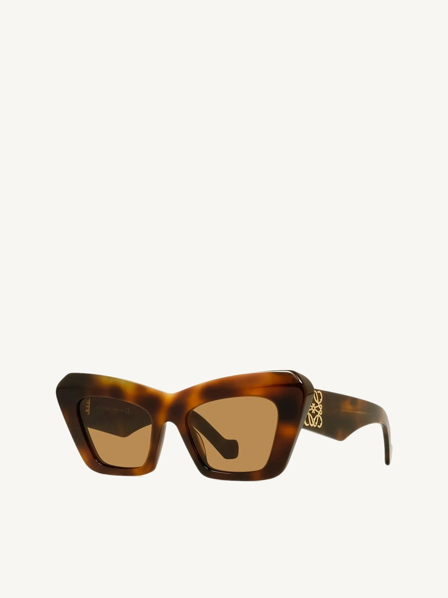 Loewe LW40036I 5053E Acetate in Tortoise