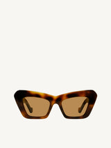 Loewe LW40036I 5053E Acetate in Tortoise