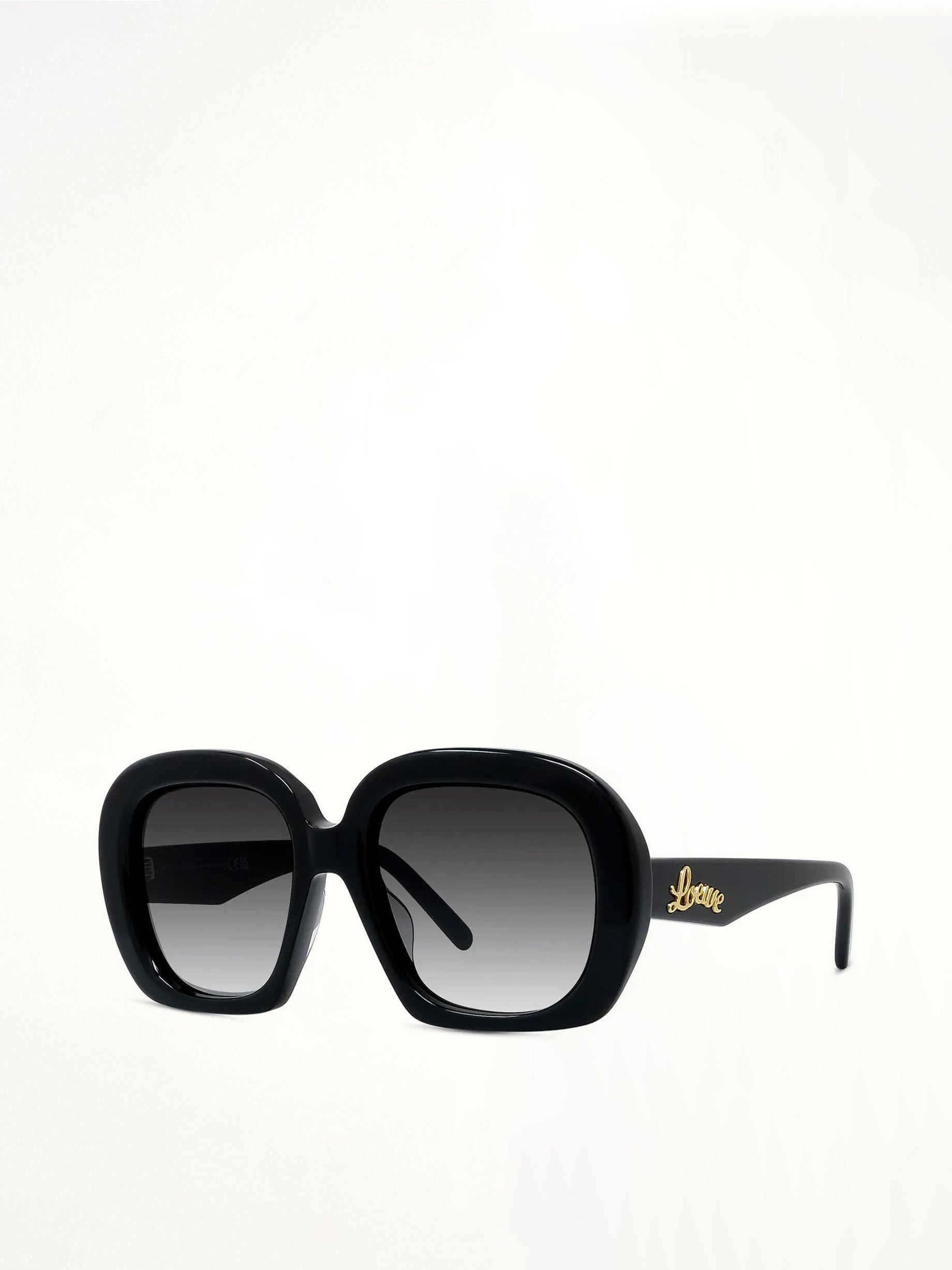 Loewe LW40113U 5301B Acetate Sunglasses in Black