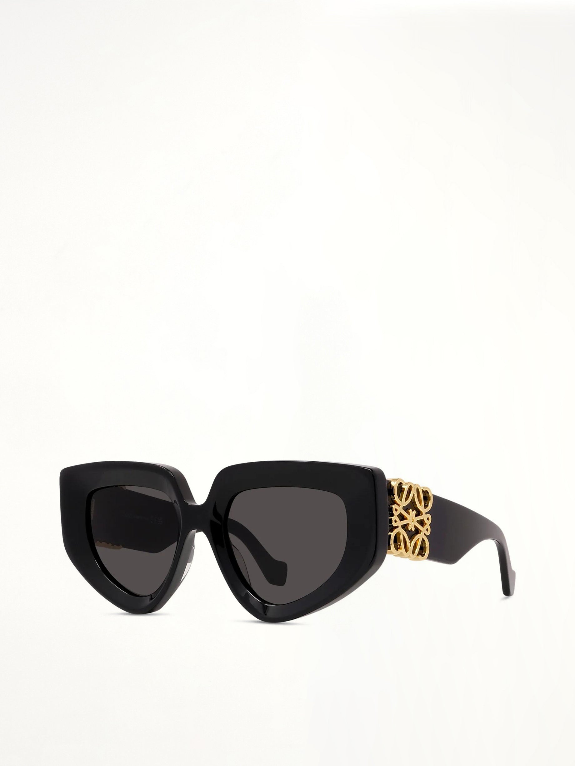 Loewe LW40154U Acetate Sunglasses in Black