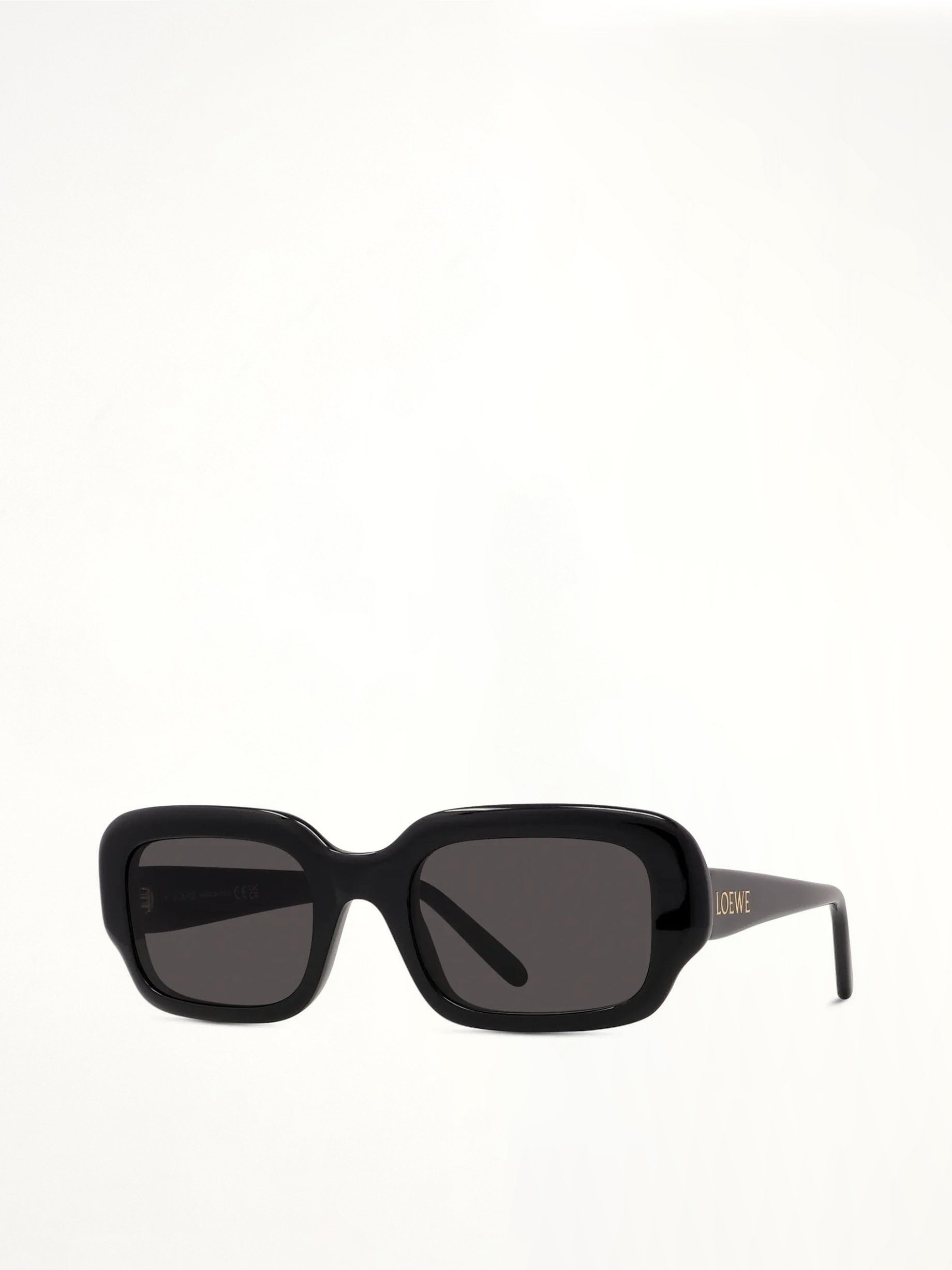 Loewe LW40158I Acetate Sunglasses in Black