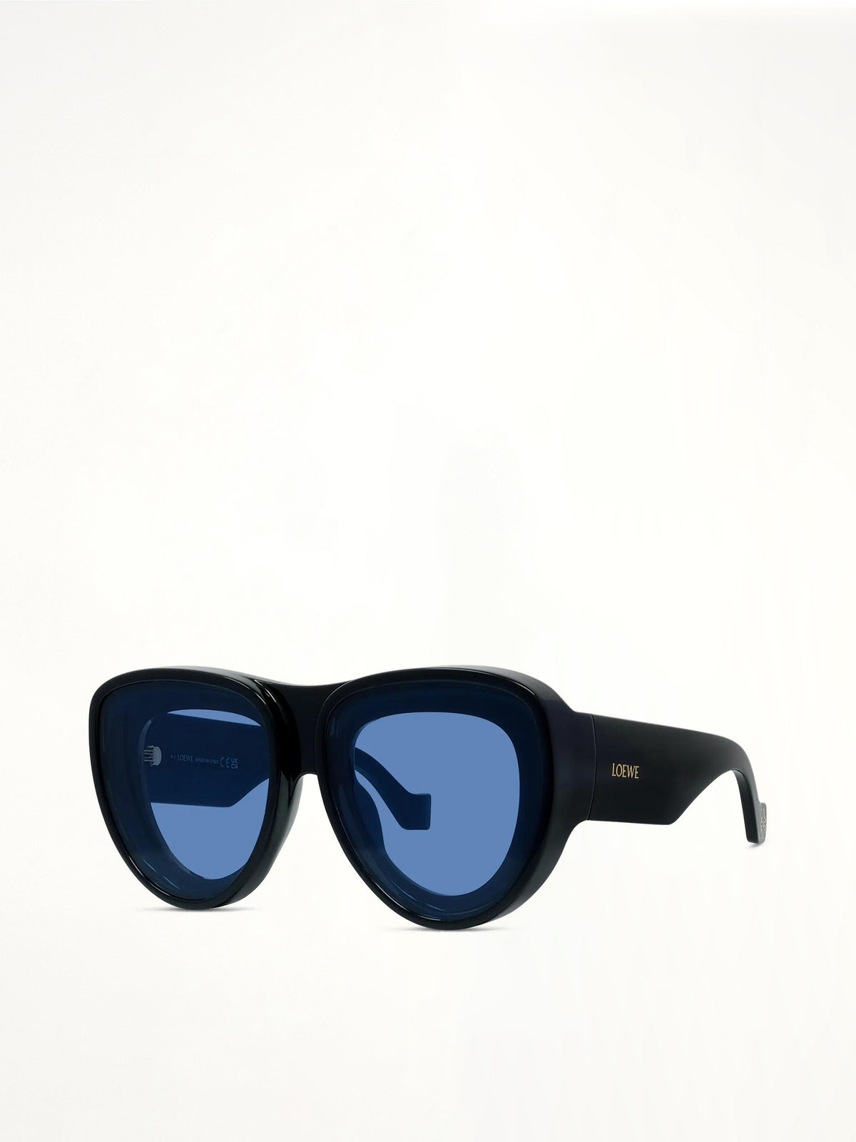 LW40170U INJECTED Sunglasses in Black