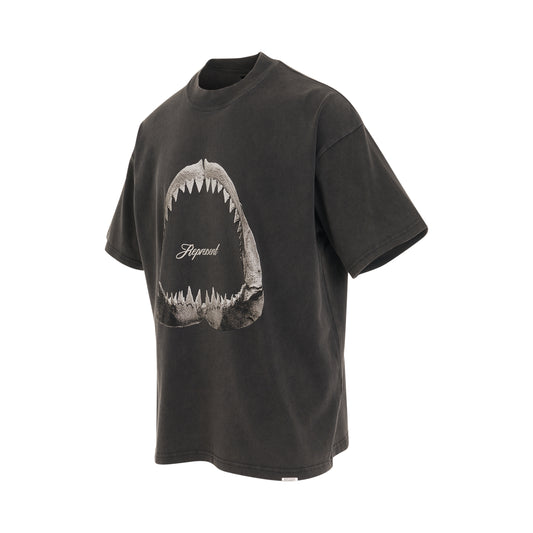 Shark Jaws T-Shirt in Vintage Grey