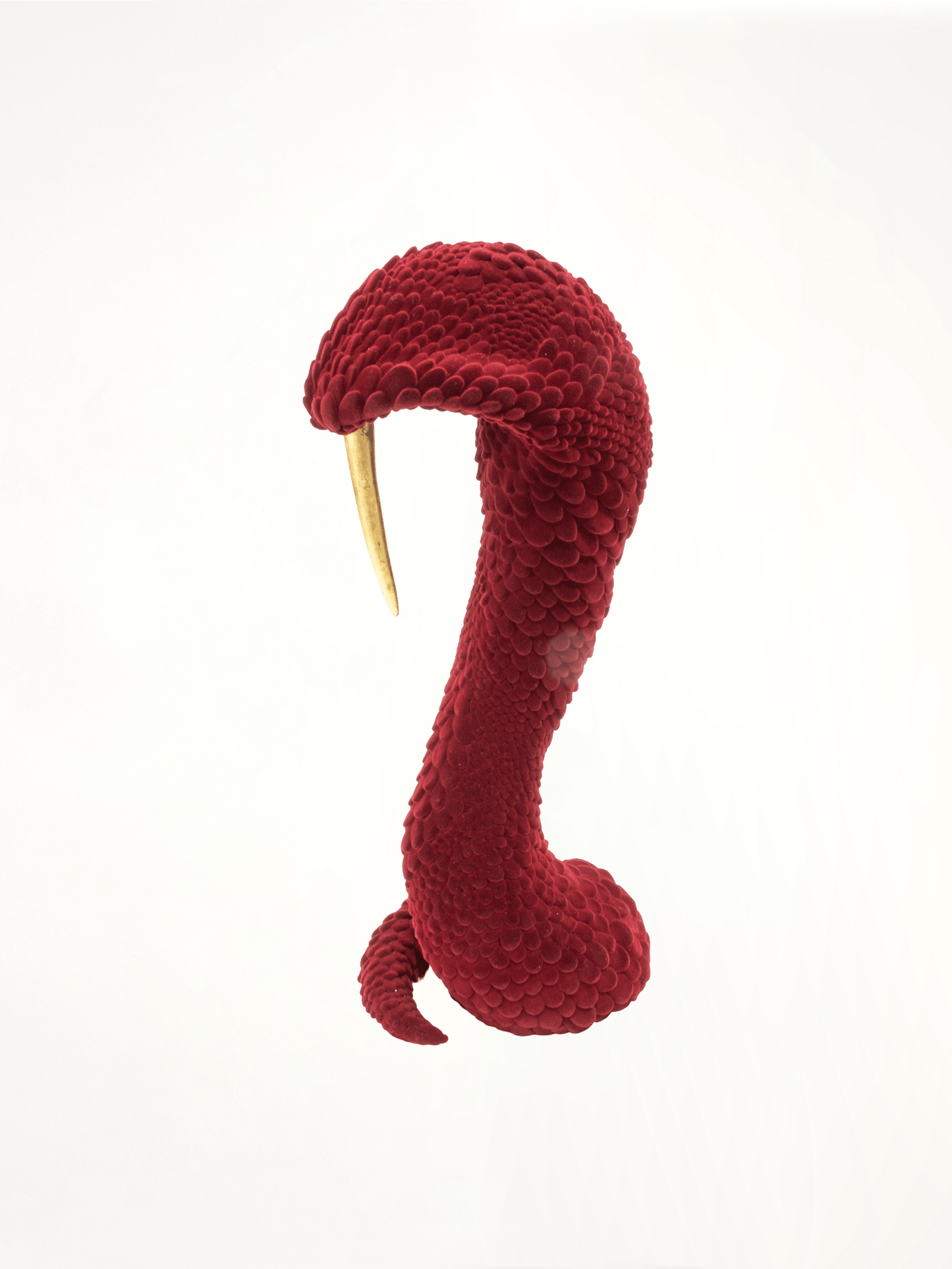 The Dead and Delicate in Red