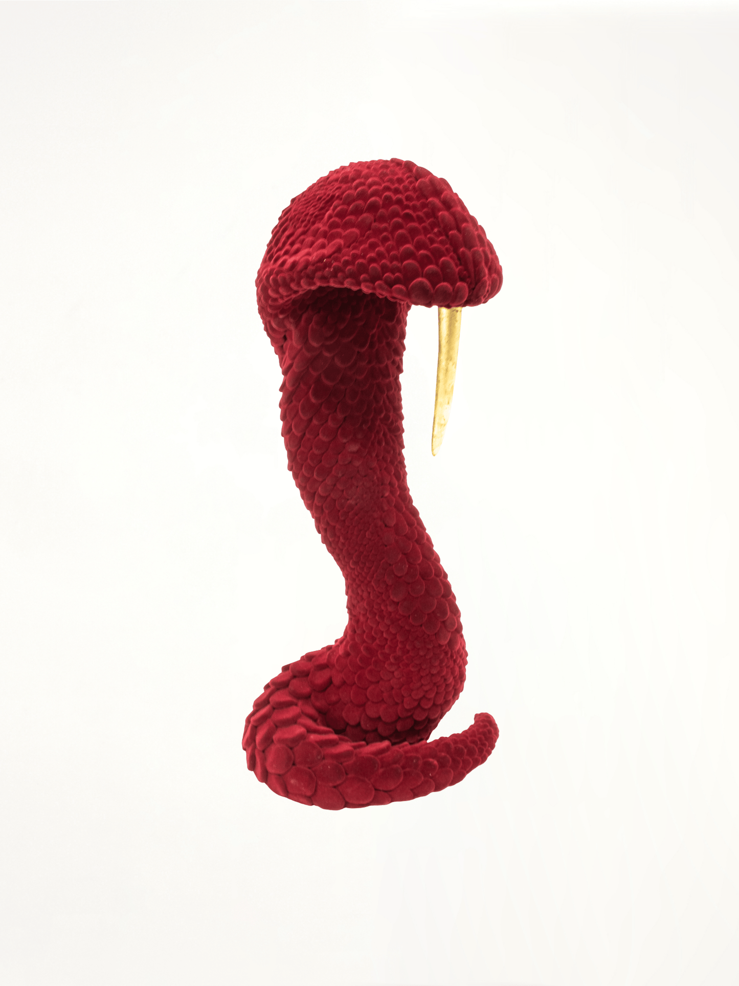 The Dead and Delicate in Red