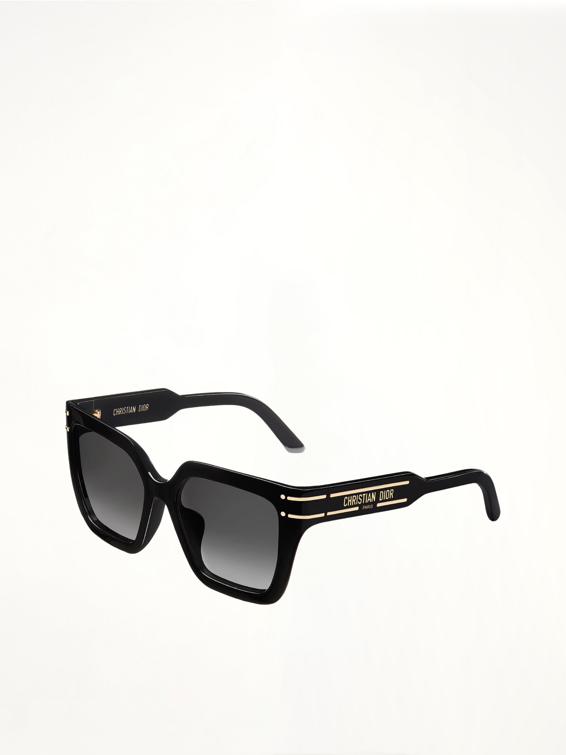DiorSignature S10F 20B055 Sunglasses in Black