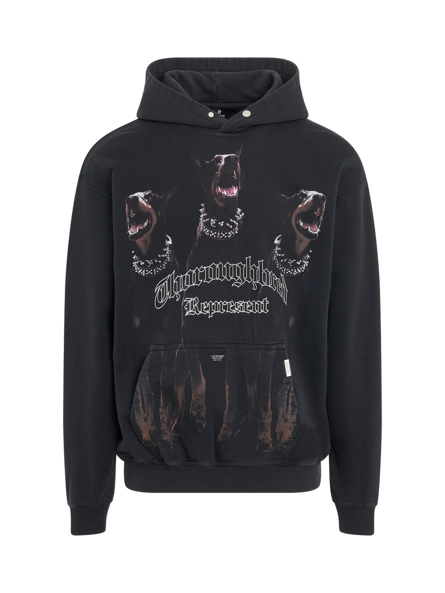Represent Thoroughbred Hoodie in Vintage Black