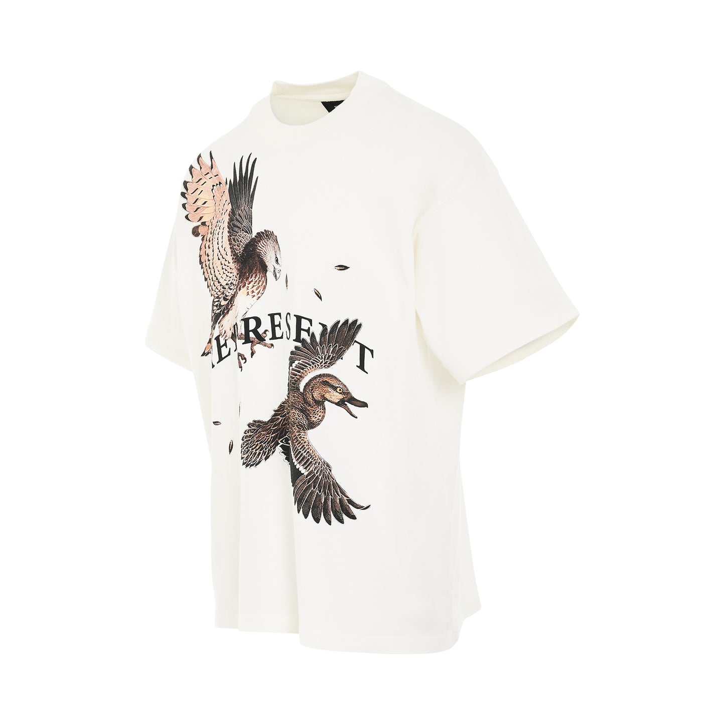 Birds of Prey Print T-Shirt in White