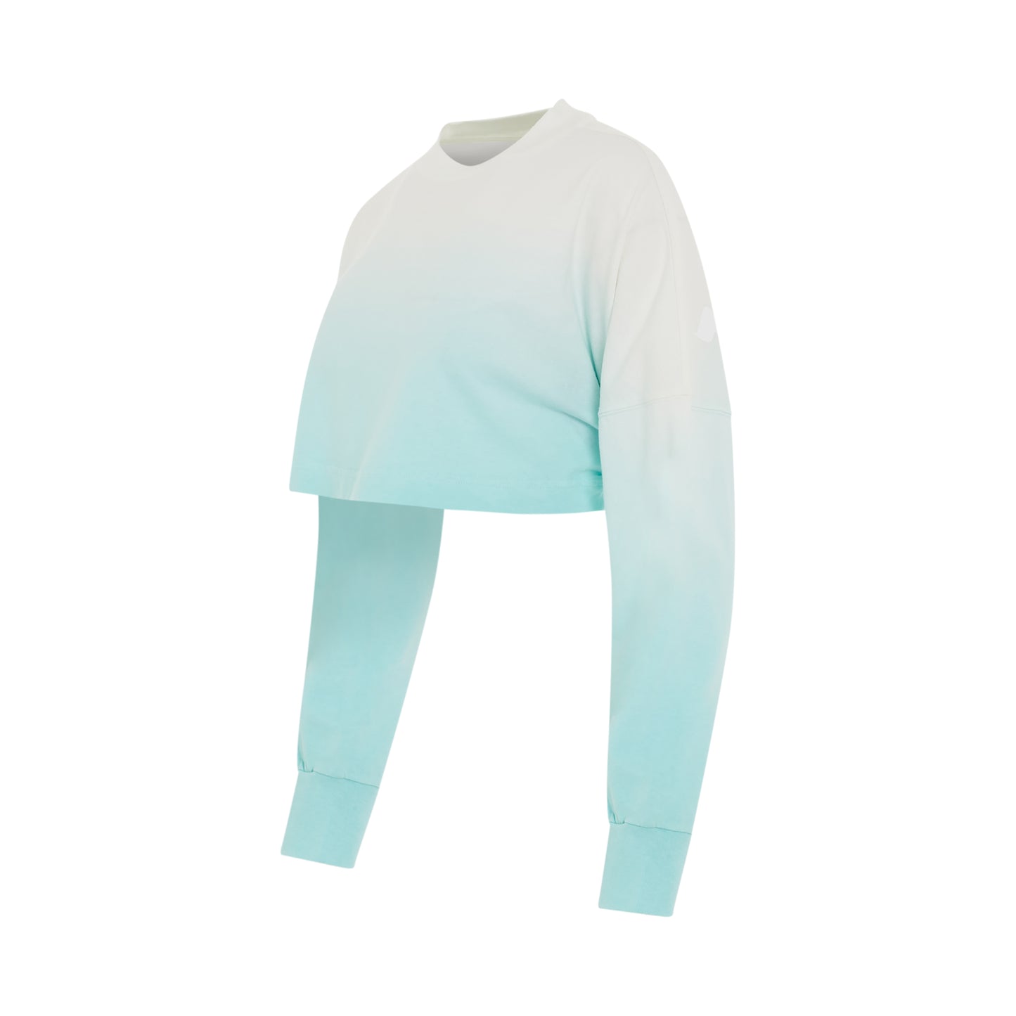 Gradient Cropped Overlogo T-Shirt in Light Blue