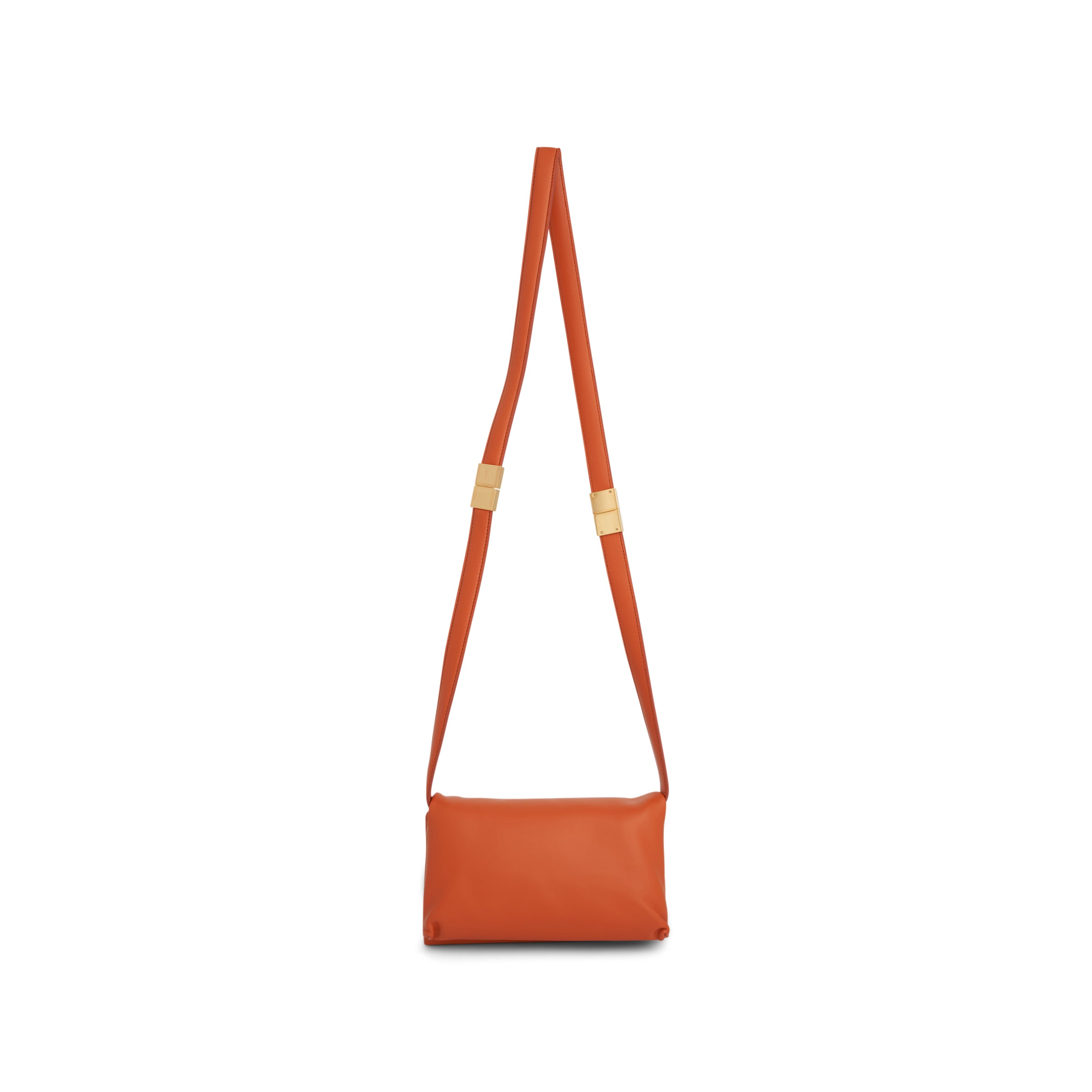 Prisma Small Leather Bag in Chili