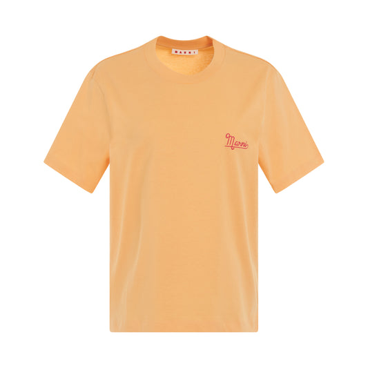 Tri Pack T-shirt in Mineral Ice