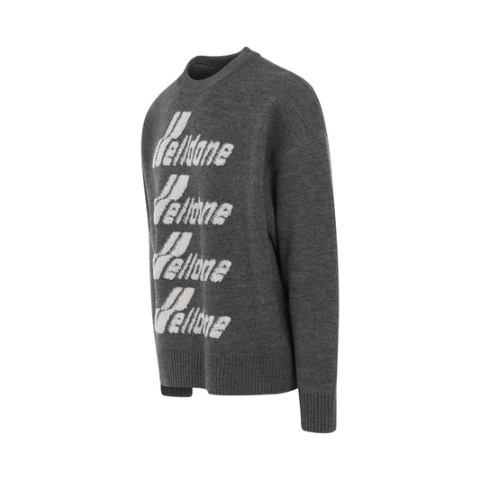 Logo Pile Knit Sweater in Grey