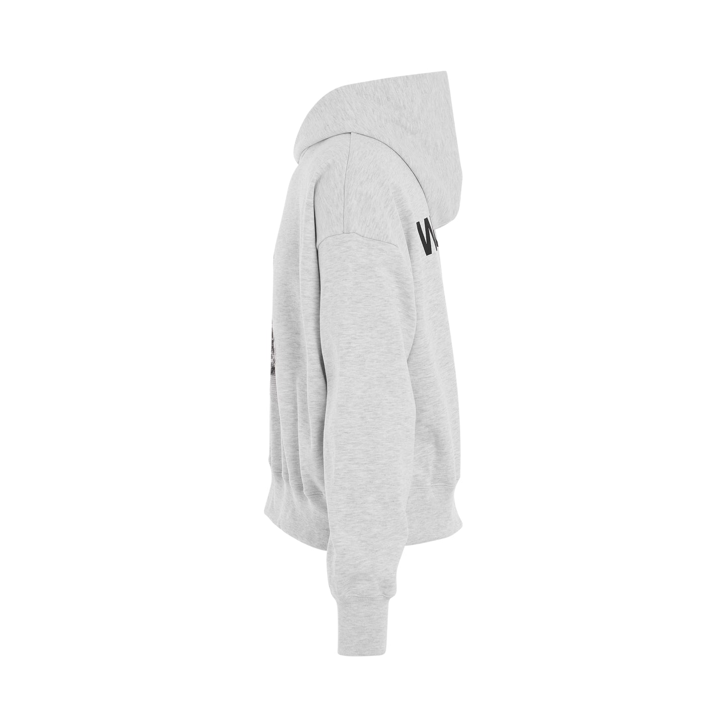 Pixel Teddy Hoodie in Grey