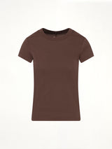 Cropped Level T in Dark Dust