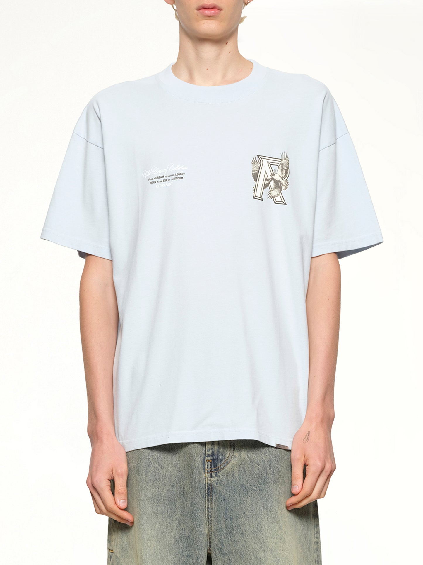 Legacy Falcon T-Shirt in Cloud