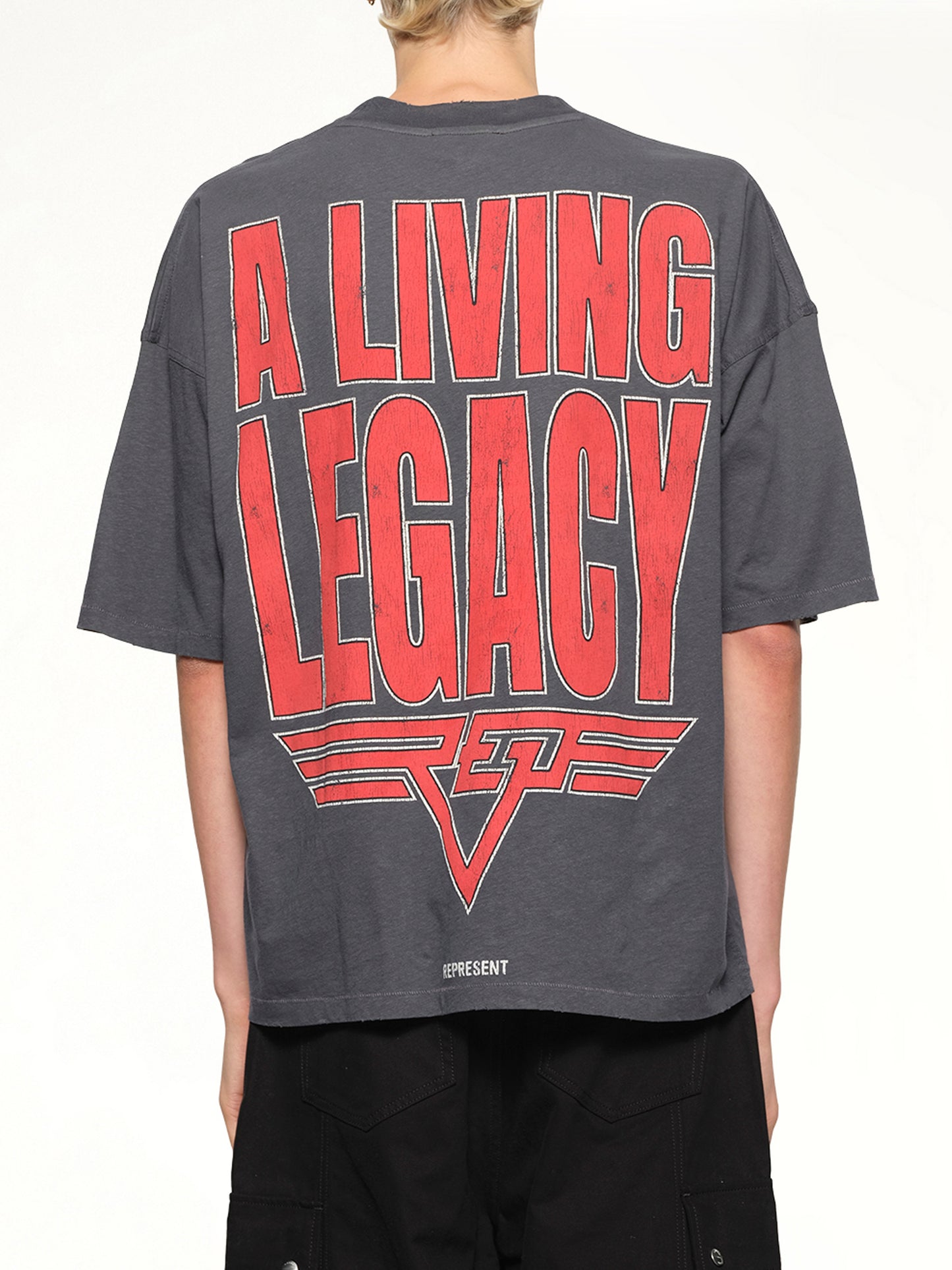 Reversible Living Legacy Falcon T-Shirt in Sun Fade Grey
