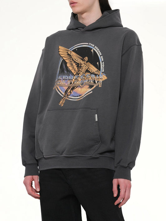 Golden Tour Hoodie in Sun Fade Grey