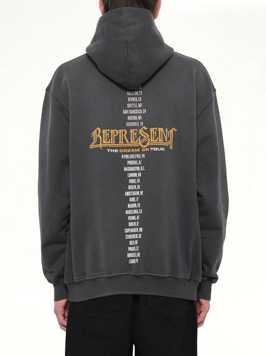 Golden Tour Hoodie in Sun Fade Grey