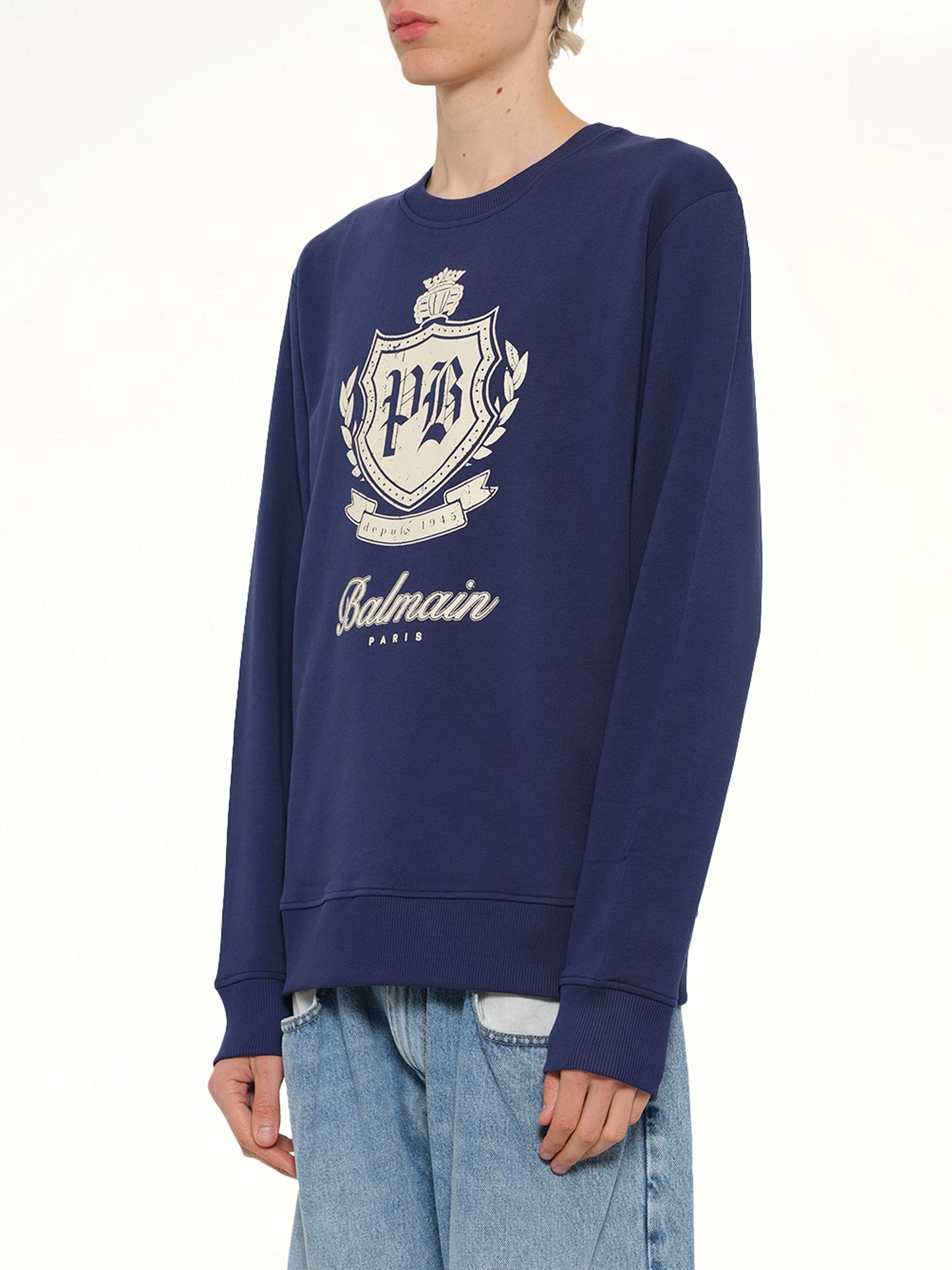 College Emblem Sweatshirt in Blue/Beige