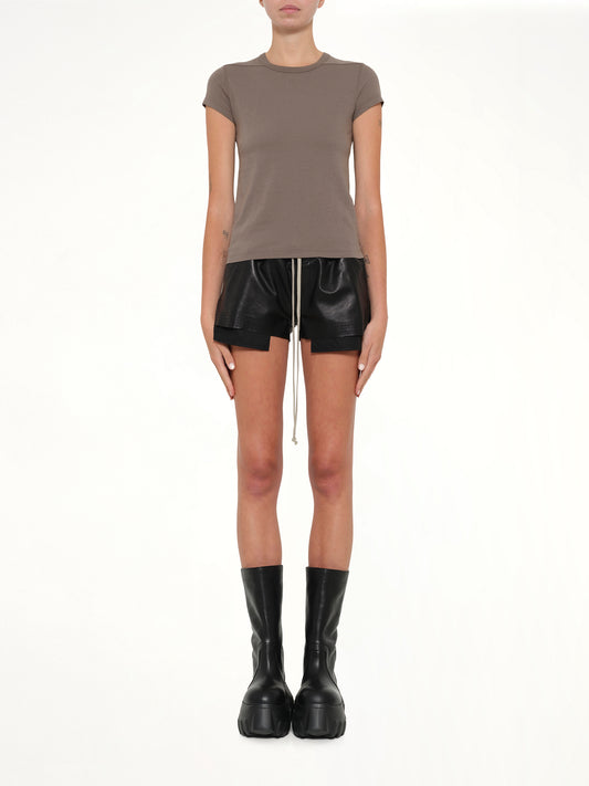 Cropped Level T in Dust