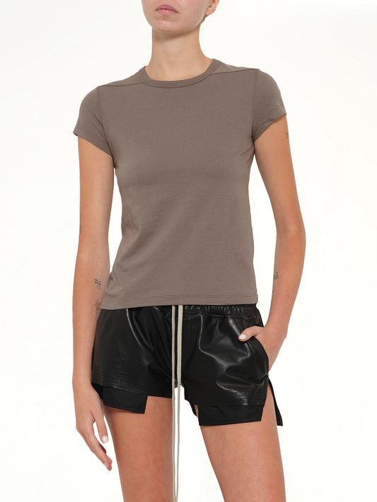 Cropped Level T in Dust