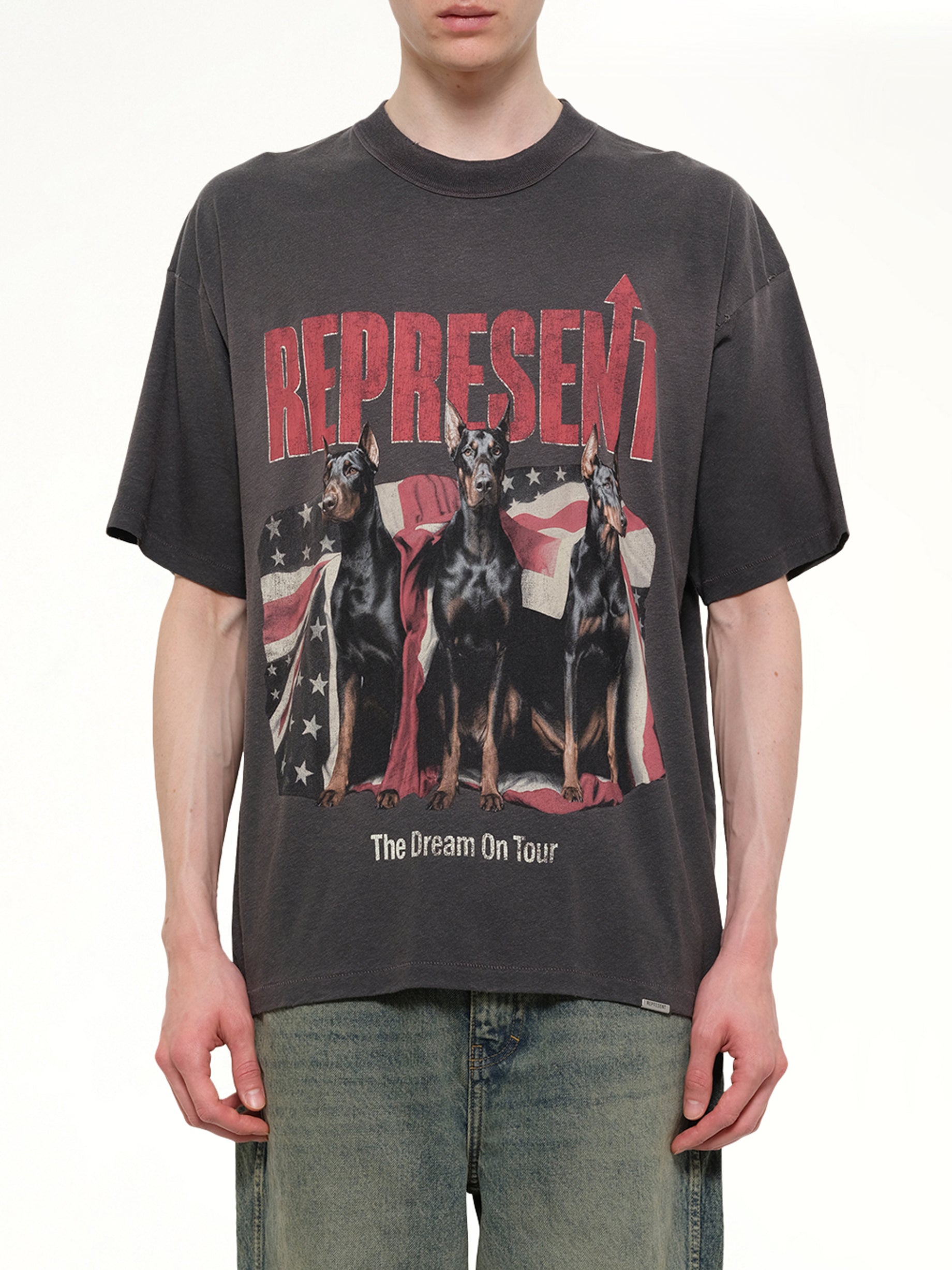 Dream On Tour T-Shirt in Sun Fade Grey